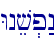 Wnev.p:n\