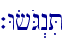 `WfOG>niT