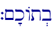 `~'kAt.b