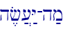 h,f][:Y-h;m