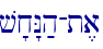 v'x"N;h-t,a