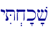 yiT.x'k'v\