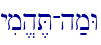 yim/h,T-h;mW