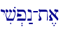 yiv.p:n-t,a