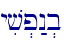 yiv.p:n.b