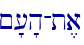 ~'['h-t,a