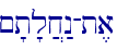 ~'t'l]x:n-t,a