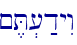 \
