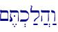 ~,T.k;l]h:w